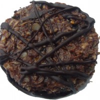 Kokos-vijgen-gember rondje Kokos-vijgen-gember rondje
